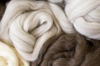 Coopworth Wool Scarf with Acamarian Patterns