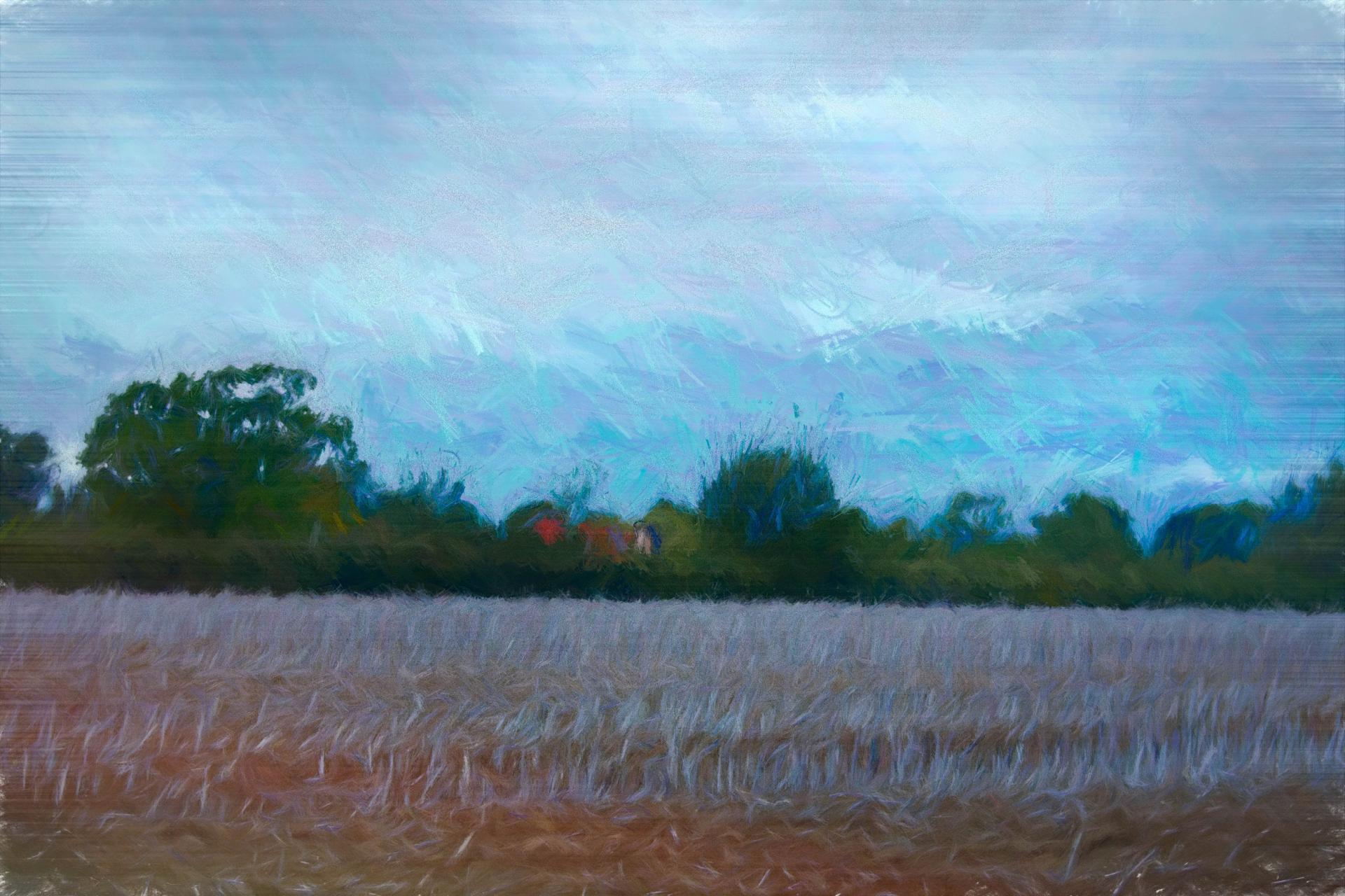 Corn Field and Old House