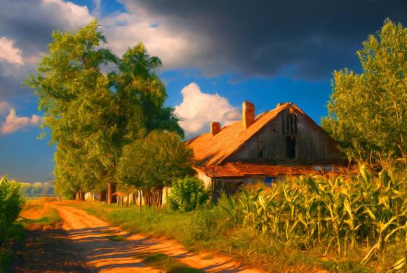 Corn Field and Old House